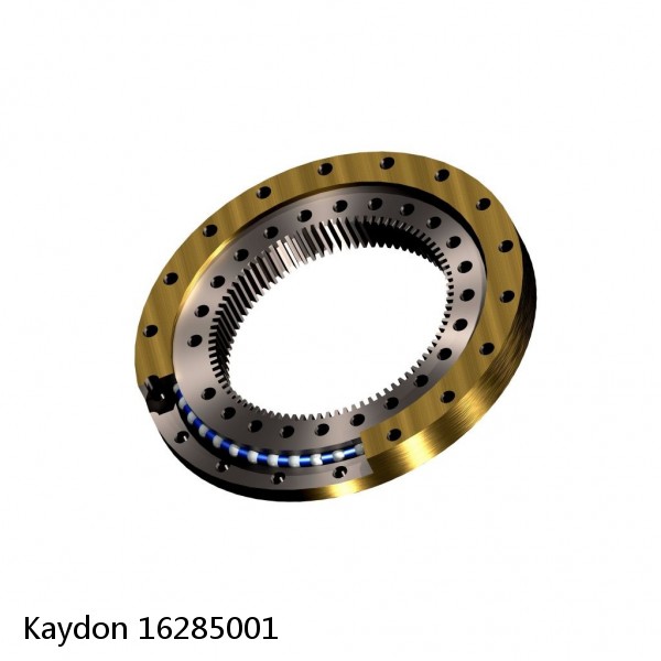 16285001 Kaydon Slewing Ring Bearings