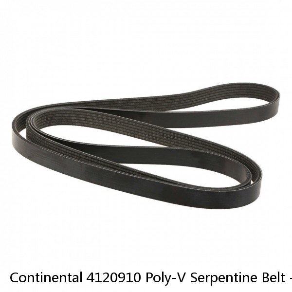 Continental 4120910 Poly-V Serpentine Belt - 91
