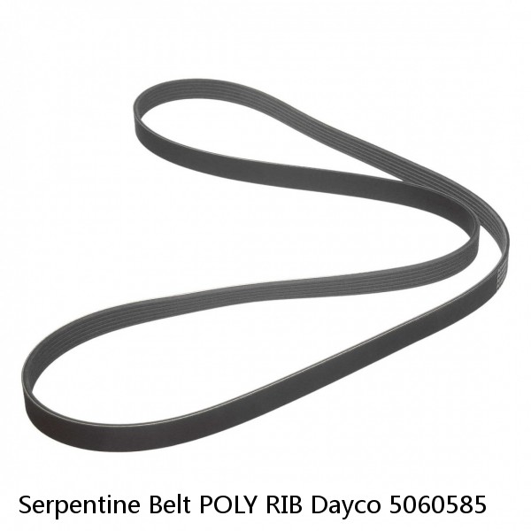 Serpentine Belt POLY RIB Dayco 5060585