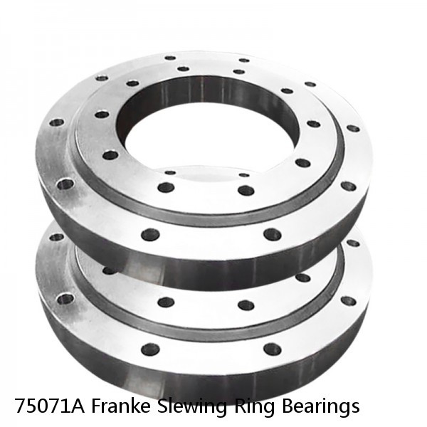 75071A Franke Slewing Ring Bearings #1 small image