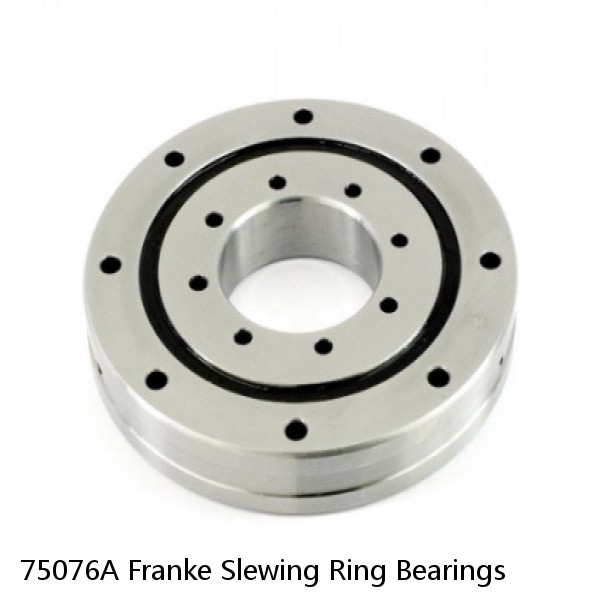 75076A Franke Slewing Ring Bearings #1 small image