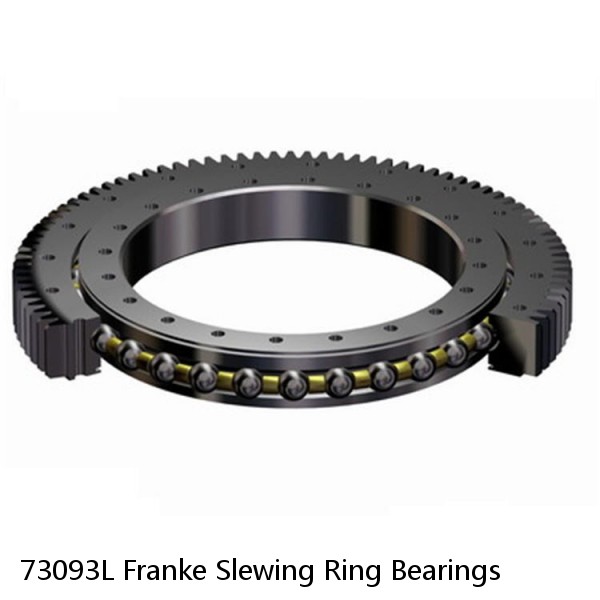 73093L Franke Slewing Ring Bearings #1 small image