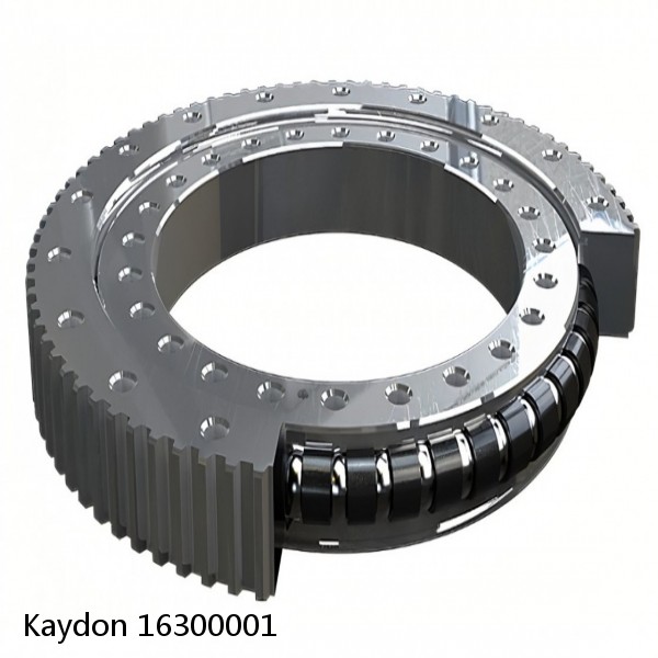 16300001 Kaydon Slewing Ring Bearings #1 small image