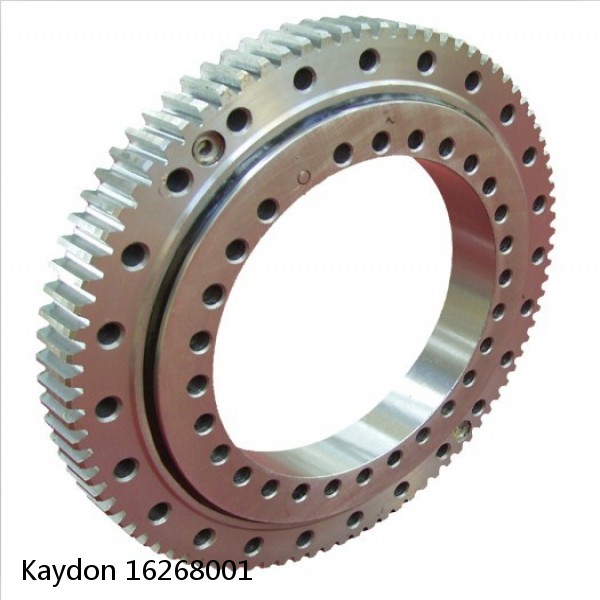 16268001 Kaydon Slewing Ring Bearings #1 small image