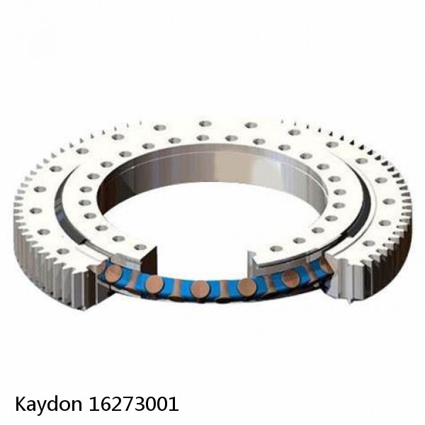 16273001 Kaydon Slewing Ring Bearings