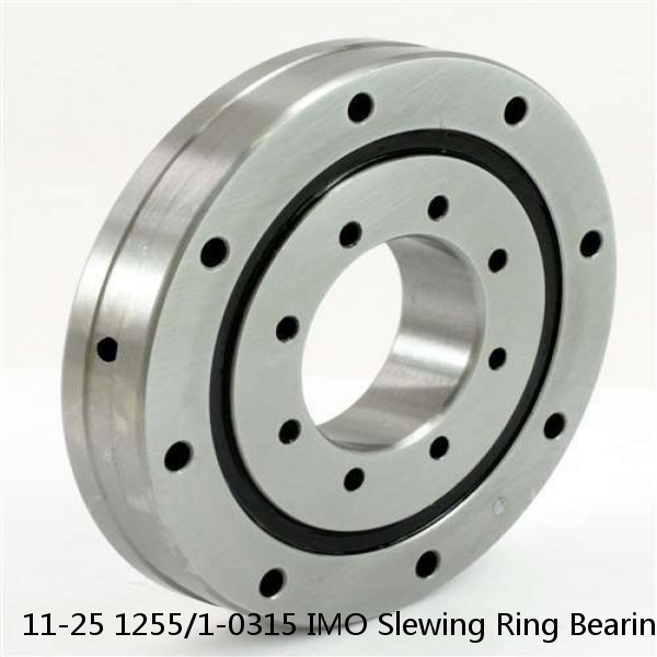 11-25 1255/1-0315 IMO Slewing Ring Bearings #1 image