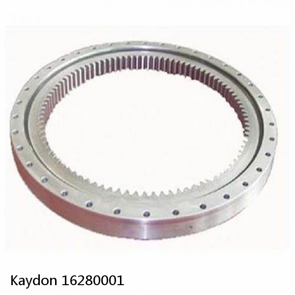 16280001 Kaydon Slewing Ring Bearings #1 image