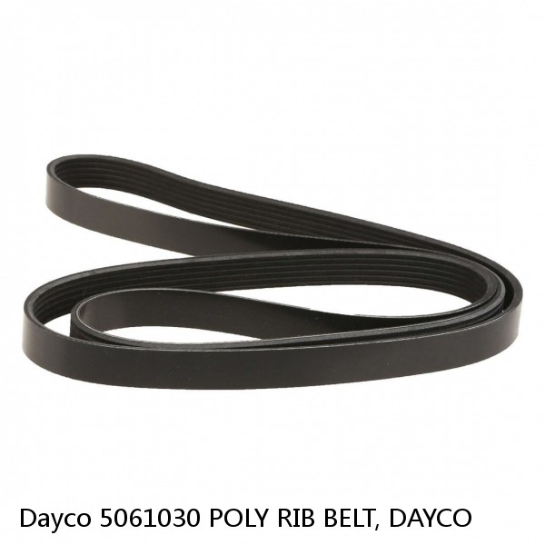 Dayco 5061030 POLY RIB BELT, DAYCO #1 image