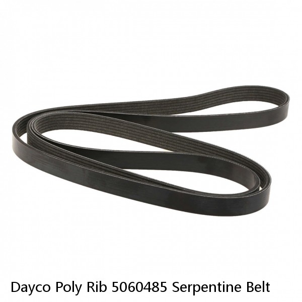 Dayco Poly Rib 5060485 Serpentine Belt #1 image